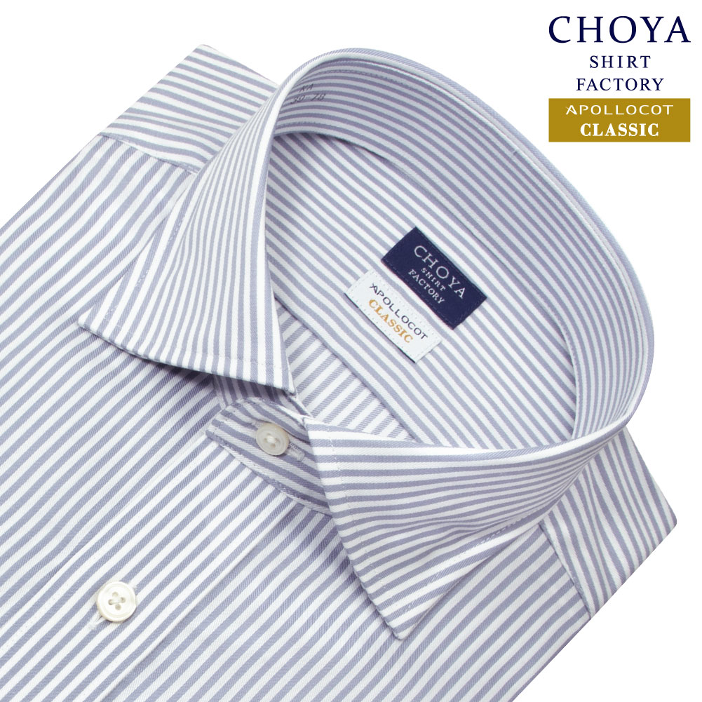 CHOYA SHIRT FACTORY 【爆買】日清紡アポロコット クラシック ワイド