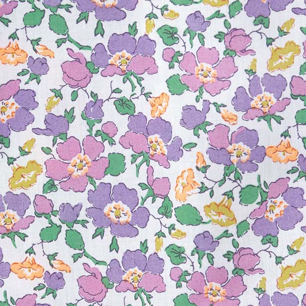 LOUIS&CLERK（ルイスアンドクラーク） 半袖ドレスシャツ レギュラー