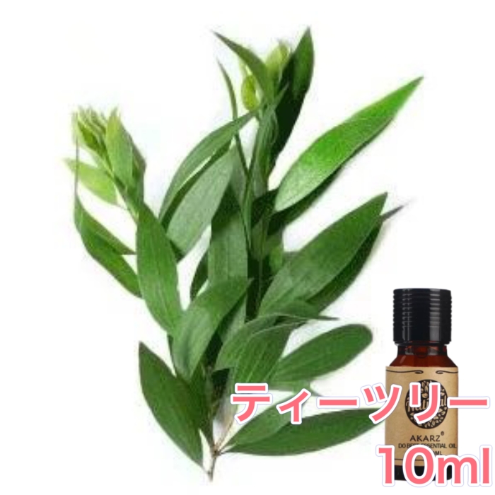 エッセンシャルオイル　ティートゥリー Wエッセンシャルオイル ティートゥリー 5ml/Tea tree – 生活の木