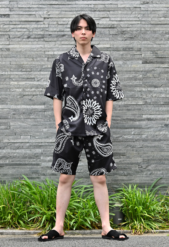 カジュアルシャツ メンズ 半袖 総柄 開襟シャツ セットアップ(別売) 白 黒 ホワイト ブラック グリーン 豹柄 ゼブラ ペイズリー M L XL LL 2L 51235 51237 51239 |  | 26