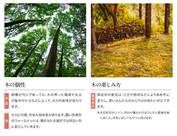 ダイニングセット（テーブル&チェア） 天然木 ウォールナット無垢材 ハイバックチェア ダイニング 4人 5点セット(テーブル+チェア4脚) W150_7