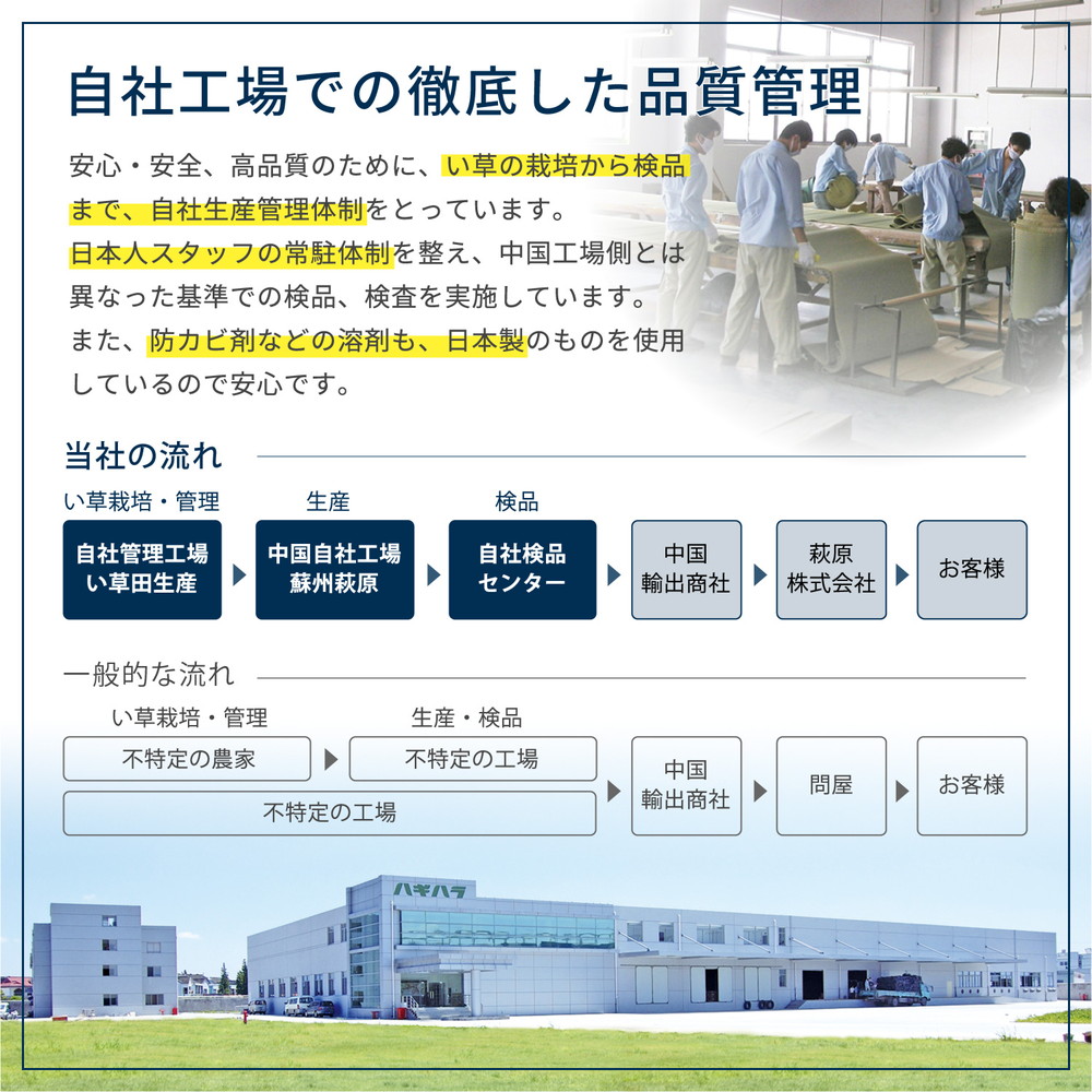 い草カーペット 白馬（はくば） 江戸間 8畳（352×352）