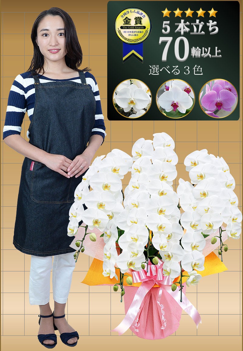 5本立ち 65輪以上 選べる3色 白 赤リップ ピンク