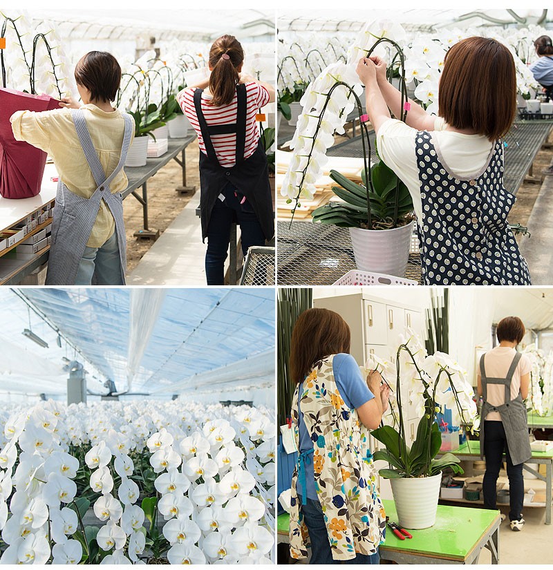 スタッフの皆さん、気さくで明るく、楽しそうに仕事をされています。