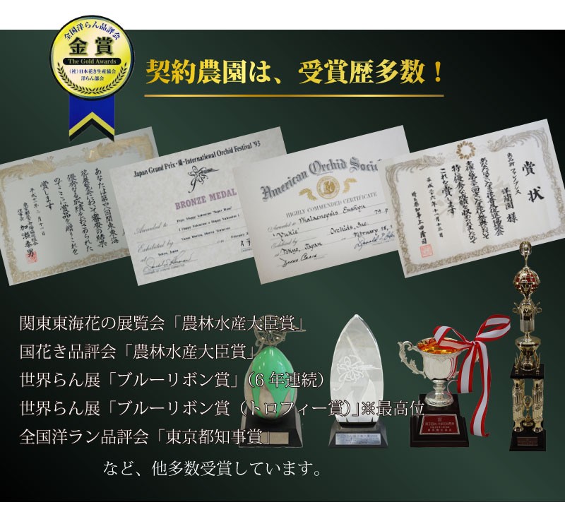 関東東海花の展覧会「農林水産大臣賞」、国花き品評会「農林水産大臣賞」、世界らん展「ブルーリボン賞」（6年連続）、世界らん展「ブルーリボン賞（トロフィー賞）」※最高位、全国洋ラン品評会「東京都知事賞」など、他多数受賞しています。