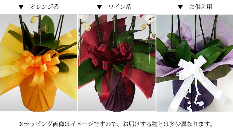 ラッピングのお色をお選びいただけます。オレンジ系、ワイン系、お供え用