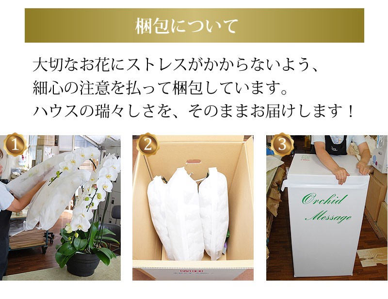 梱包について 大切なお花にストレスがかからないよう、細心の注意を払って梱包しています。ハウスの瑞々しさを、そのままお届けします！