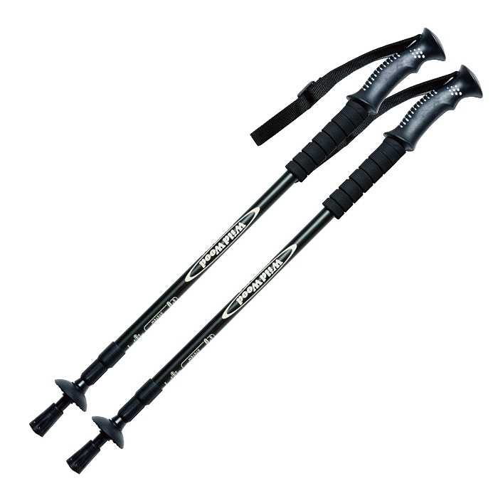 旧モデル [ポールセット] ツマ スキー板 2024 ZUMA MONO ADVANCE/BK +