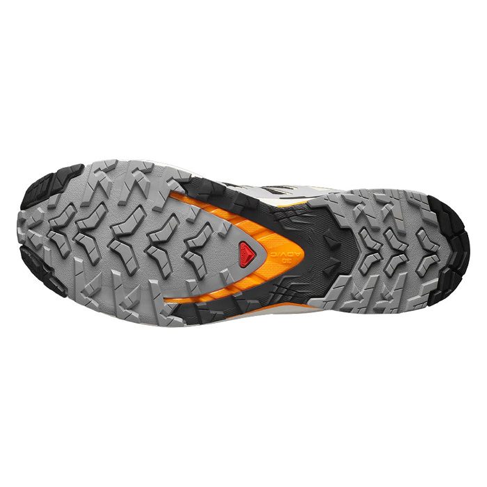 SALOMON（サロモン） L47882700 XA PRO 3D V9 BLACK/GULL/TURMERIC