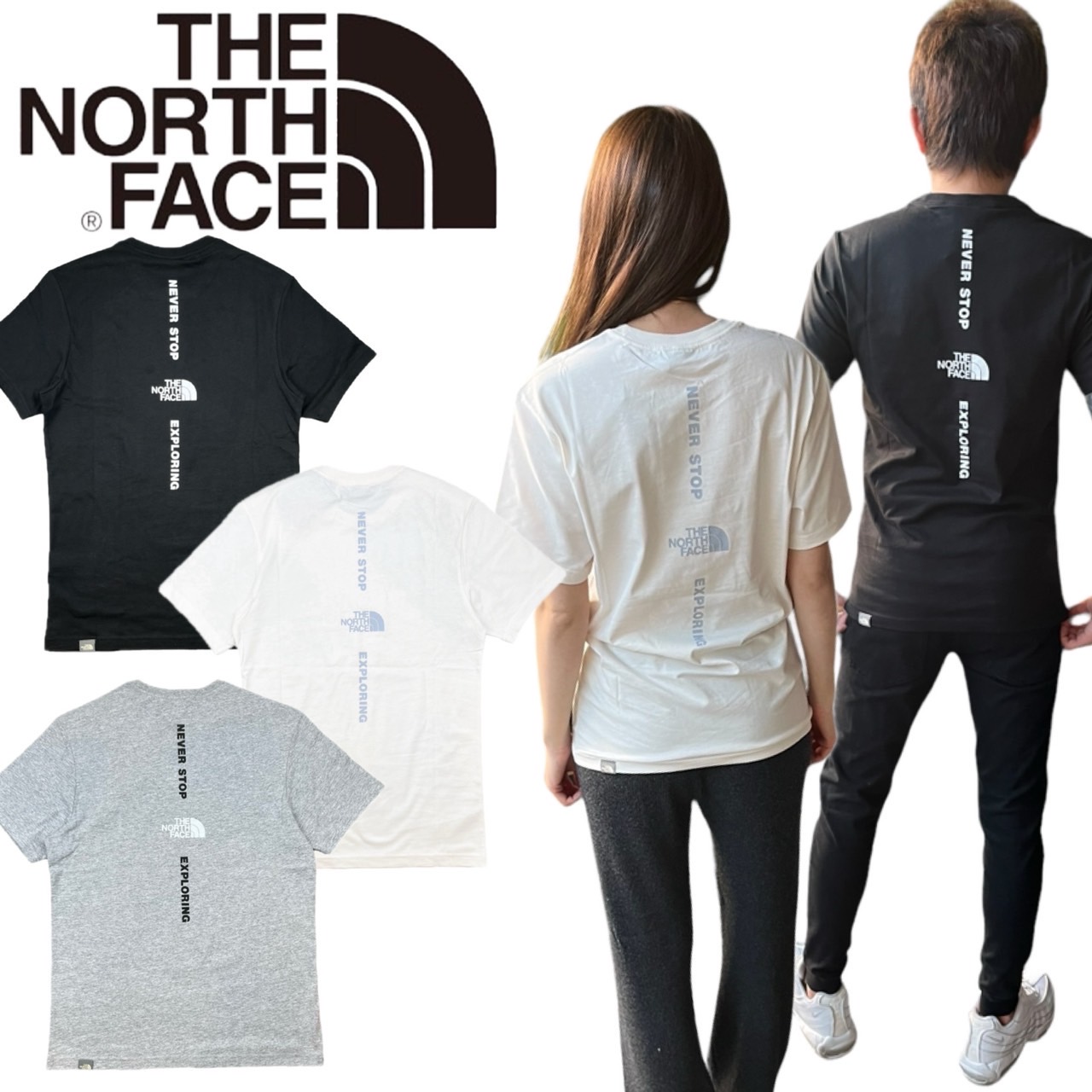 ザ ノースフェイス The North Face Tシャツ 半袖 バックロゴ NF0A4CAX バーチカル NSE メンズ レディース THE  NORTH FACE VERTICAL NSE TEE :NF0A4CAX:STY1 通販 