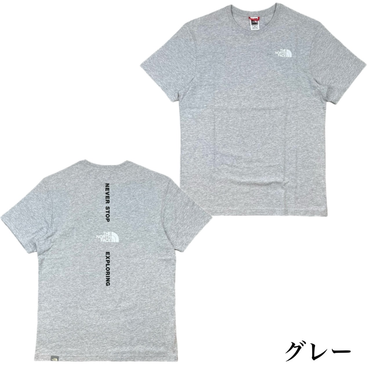 ザ ノースフェイス The North Face Tシャツ 半袖 バックロゴ NF0A4CAX