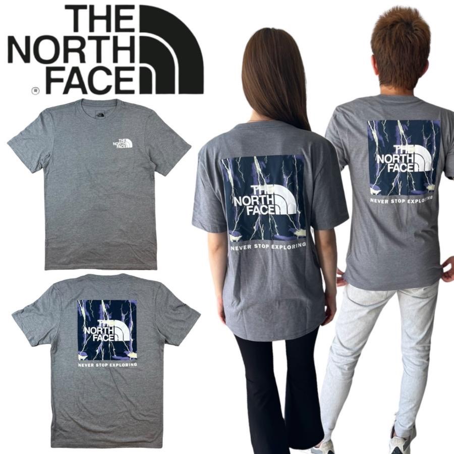 ザ ノースフェイス The North Face Tシャツ ボックス NSE 半袖 メンズ