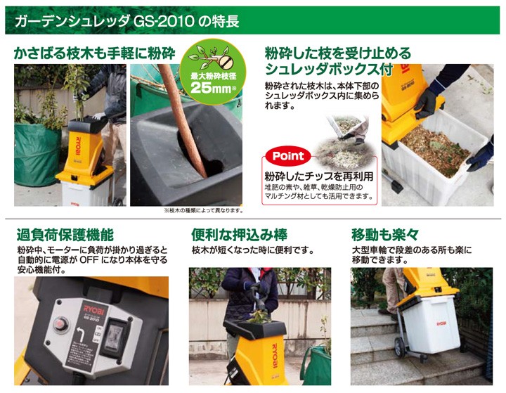 gs-2010-03.jpg