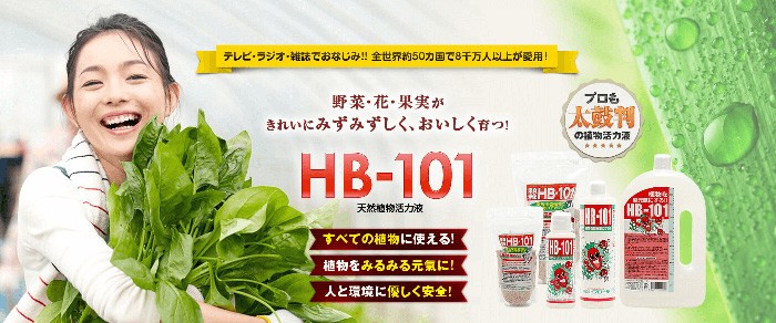 HB-101 1L (1000cc) フローラ 天然植物活力液 メーカー直送・代引不可 :HB-101-1L:スターフィールズ ヤフー店 - 通販 -  Yahoo!ショッピング