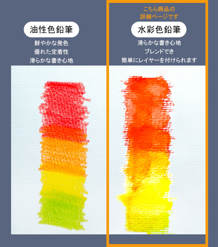水彩色鉛筆 12色セット 色えんぴつ いろえんぴつ セット 色鉛筆 12色