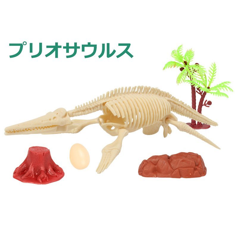 化石 発掘 恐竜 工作 知育 プレゼント 誕生日 クリスマス お祝い