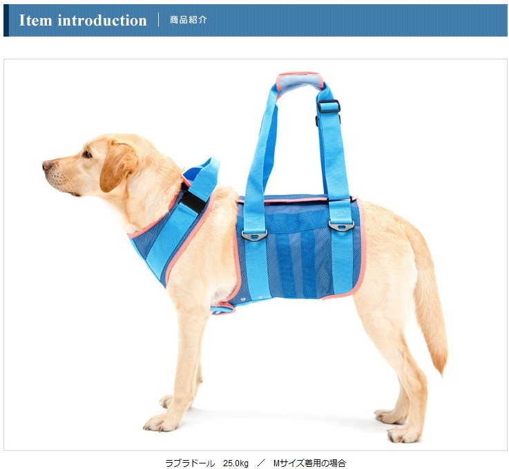 株式会社トンボ With ブルー 歩行補助ハーネス Lalawalk 大型犬用 クールメッシュ 介護用ハーネス ブルー Ll クールメッシュ Starlive 店