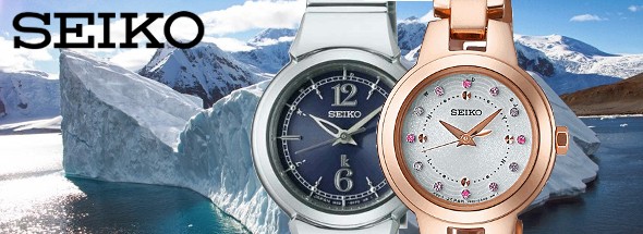 SEIKO プロスペックス ダイバースキューバ ソーラー 限定品 SBDL045