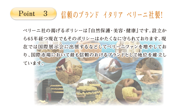 ベリーニ イタリア産高品質 シースポンジ 天然海綿 ハニコム種 Lサイズ Bellini Sponge L スターク 通販 Yahoo ショッピング