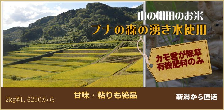新潟米 YUSA11kg 家庭用精米機 まん咲 PX-10A – 株式会社タイワ精機