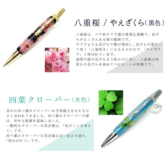 三菱鉛筆 フラワーペン 押し花が入ったボールペン