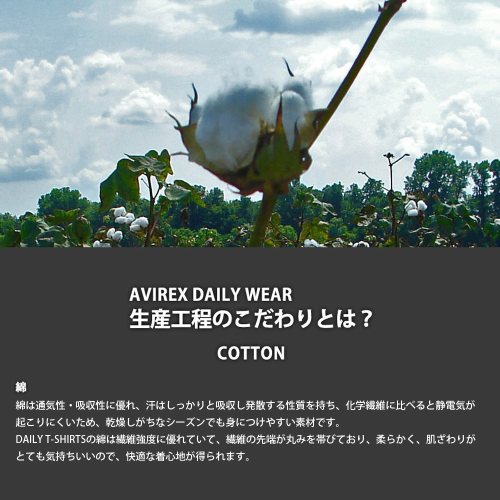 AVIREX（アヴィレックス） アビレックス リブタンクトップ バック
