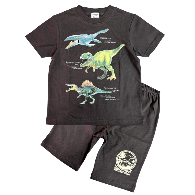 光るプリントパジャマ 恐竜 忍者 カブトムシ クワガタ 昆虫 Tシャツ