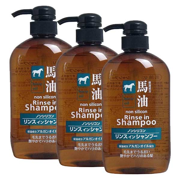 3個セット 馬油リンスインシャンプー 600mL ×3セット 馬油 リンス シャンプー ノンシリコン 保湿 しっとり うるおい コスメステーション  KTGgZ2QWcA, コンディショナー、リンス - www.politecnicolosalpes.com