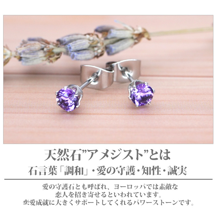 金属アレルギー対応 ステンレスピアス レディース 2月の誕生石 4mm