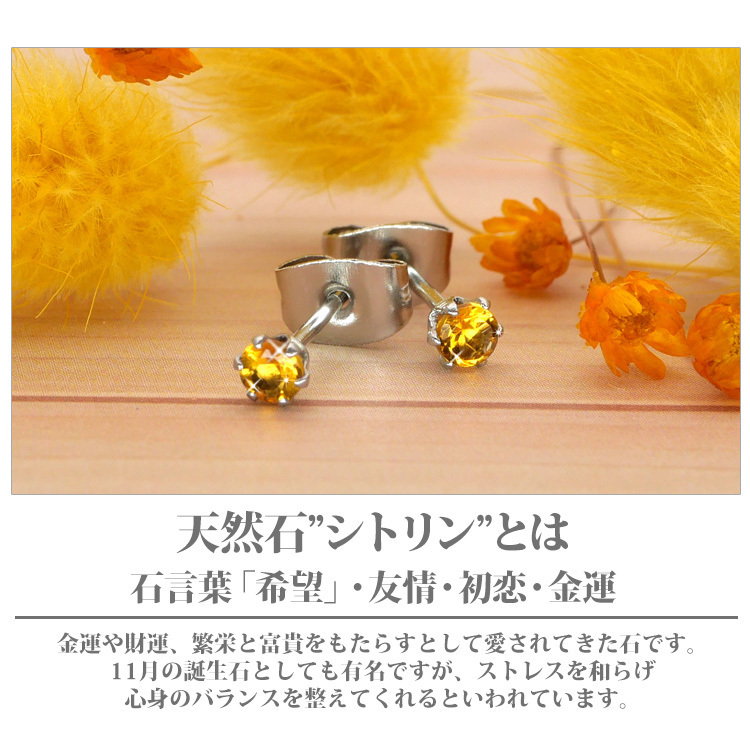 セカンドピアス つけっぱなし 金属アレルギー対応 サージカル