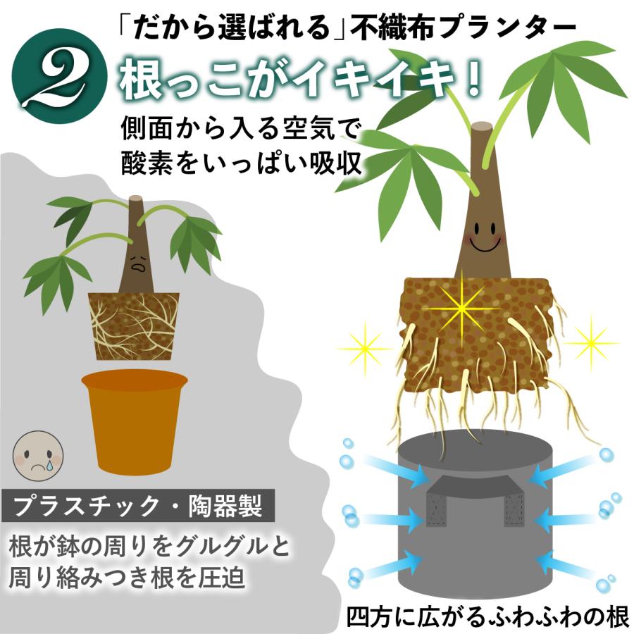 不織布ポット 1ガロン ５個 不織布プランター 6号 18 x 15 植木鉢 大型