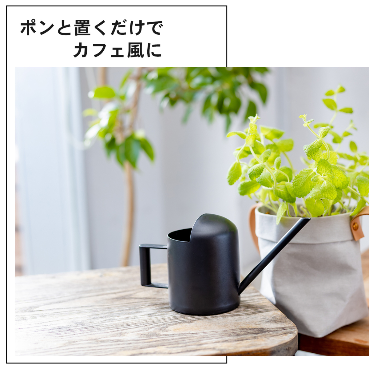 じょうろ おしゃれ 室内 小さい 観葉植物 ステンレス ジョーロ おしゃれ ジョウロ 小さい 小型 北欧 如雨露 ミニじょうろ 水差し 多肉植物 黒  アンティーク :jrb300:園芸用品専門店 STEP ONE - 通販 - Yahoo!ショッピング