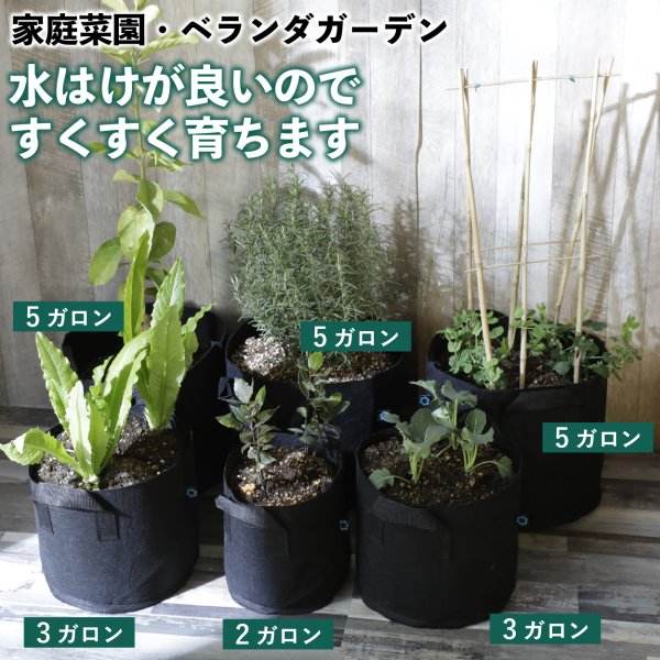 不織布ポット 2ガロン ５個 不織布プランター 6.5号鉢 20x20 植木鉢 大型 軽量 深鉢 フェルト 布鉢 家庭菜園 根域制限  :pot02:園芸用品専門店 STEP ONE - 通販 - Yahoo!ショッピング