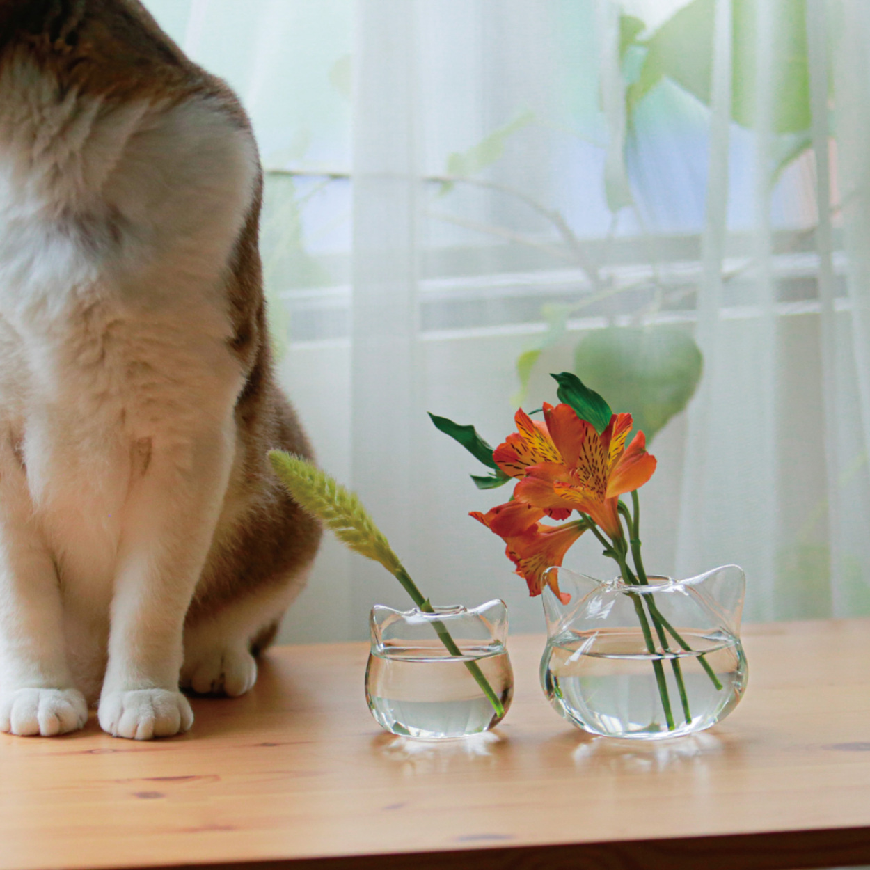 花瓶 ガラス 小さい 敬老の日 プレゼント フラワーベース 一輪挿し ねこ ねこ雑貨 花器 猫グッズ ミニ 可愛い インテリア :neko-ka-oyako:SunLeaves  - 通販 - Yahoo!ショッピング