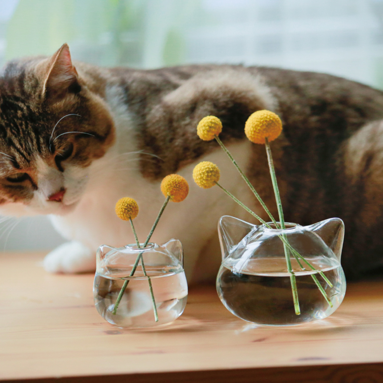 花瓶 ガラス 小さい 敬老の日 プレゼント フラワーベース 一輪挿し ねこ ねこ雑貨 花器 猫グッズ ミニ 可愛い インテリア :neko-ka-oyako:SunLeaves  - 通販 - Yahoo!ショッピング