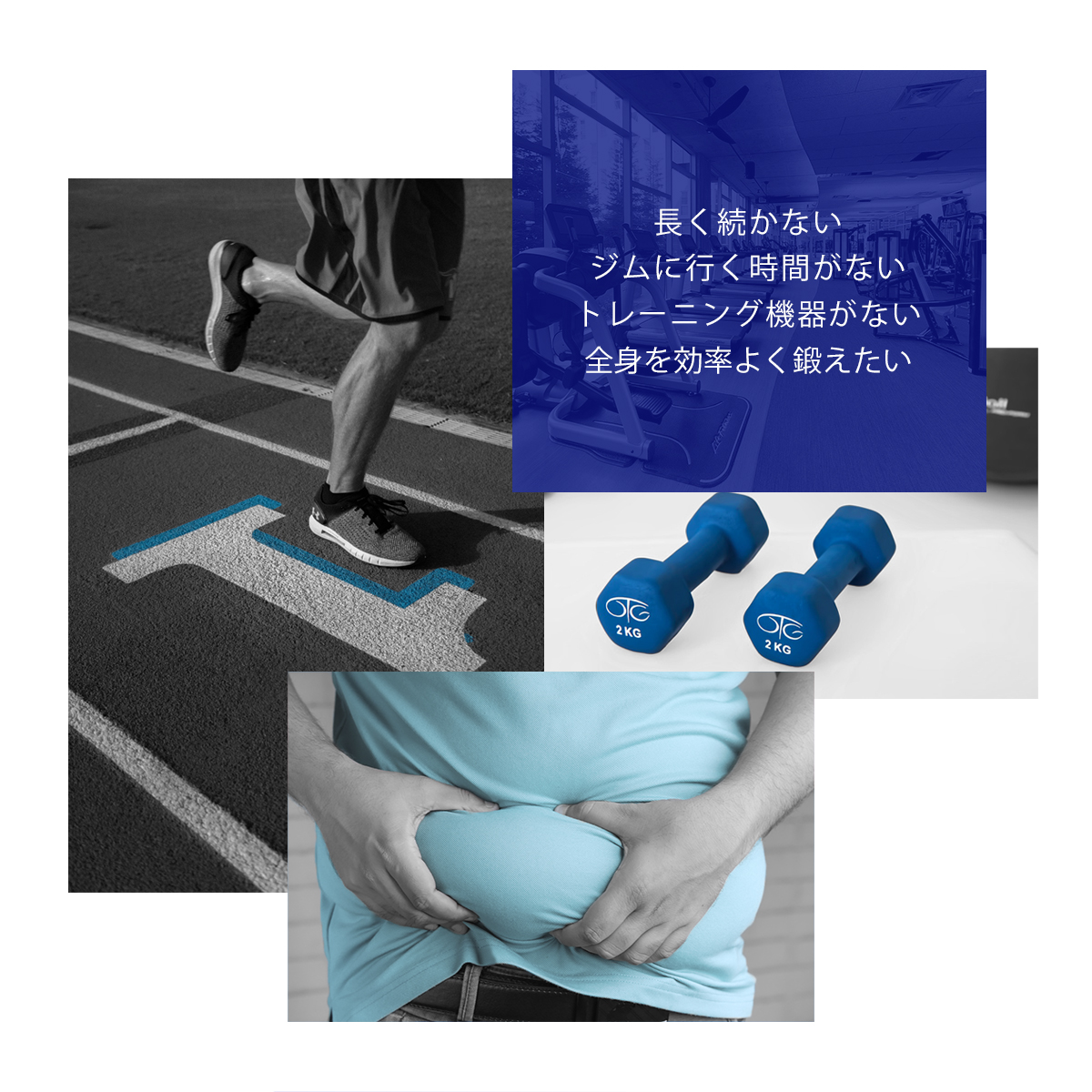 腹筋ローラー