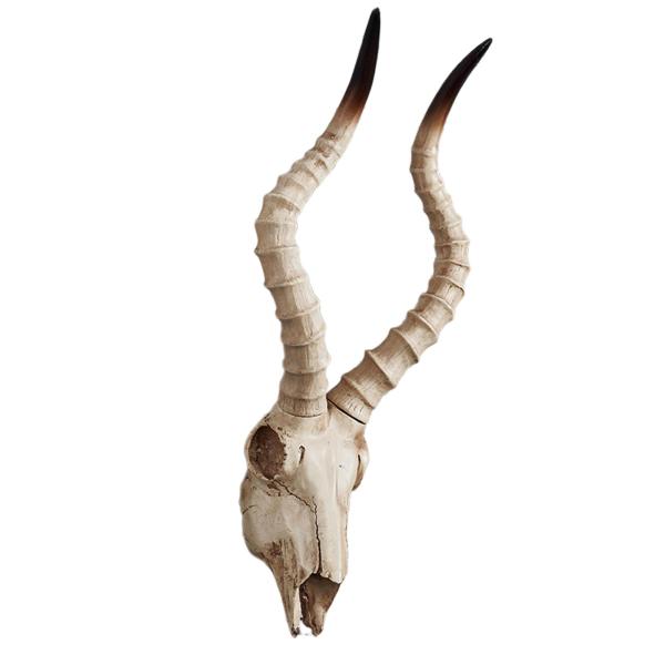頭蓋骨の羊の頭の壁の彫刻 3D 動物の頭の装飾 Longhorn の頭蓋骨 頭蓋骨の羊の頭の壁の彫刻 3D 動物の頭の装飾 Longhorn の頭蓋骨