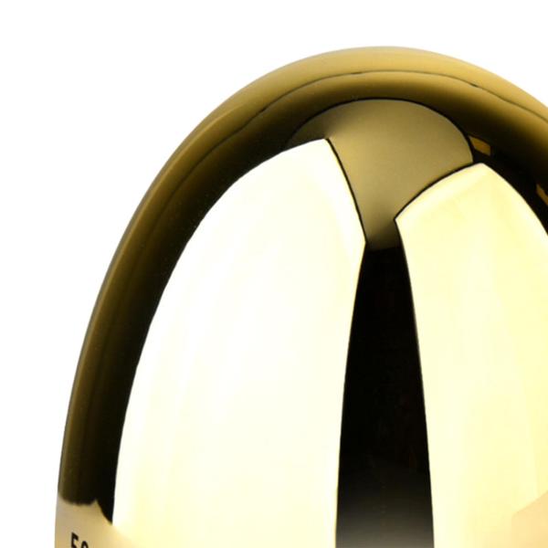 キッチンタイマー 大音量カウントダウン 60分タイマー 学習教室用 クッキングゴールド