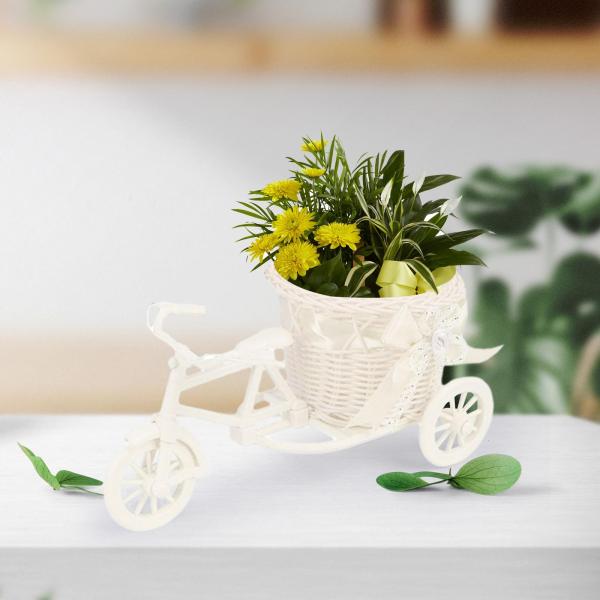 変形自転車（花、ガーデニング）のおすすめ人気商品一覧 通販 - Yahoo