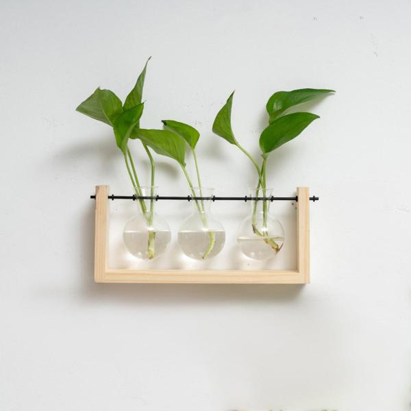 水耕植物花瓶壁掛け透明ガラスプランター植物愛好家のためのギフト 28 センチメートル × 12.5 センチメートル 3 ボトルログ