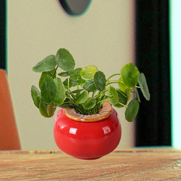 柿の花瓶置物植木鉢フルーツ像棚寝室デスク S