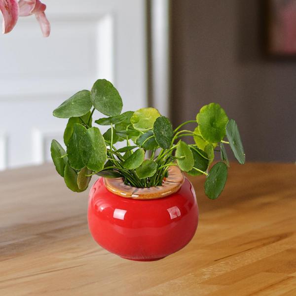 柿の花瓶置物植木鉢フルーツ像棚寝室デスク S