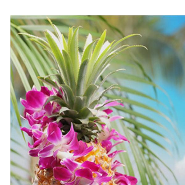 3ピース 壁アート装飾プリント 写真プリント パイナップルアートワーク ミニマリストポスター 屋内浴室用装飾絵画