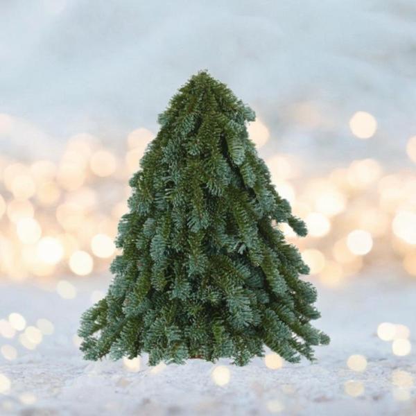 デスク クリスマスツリー フェスティバル テーブル センターピース 寝室 ホーム ダイニングルーム 33x40cm