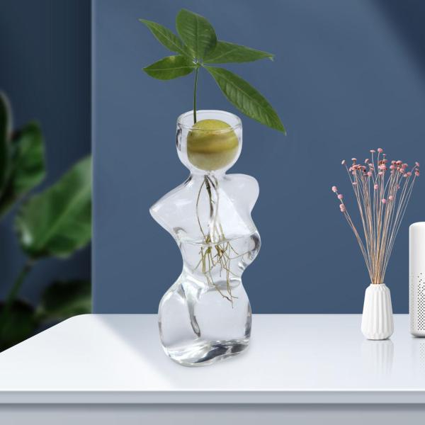 小さなアボカドシードスターター花瓶プラントポット水耕栽培植物装飾ガーデニング愛好家のためのアボカドガラスつぼみ花瓶センターピース