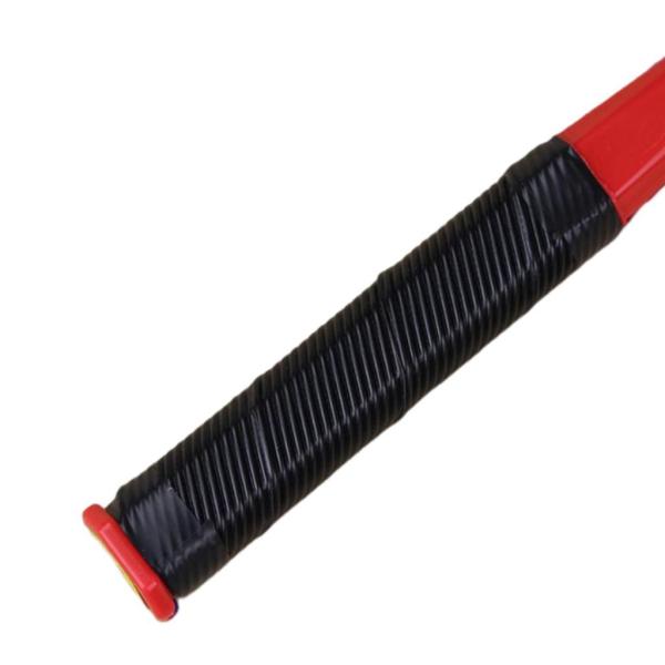Tai ラケット ボール セット 詠春拳 武術 高齢者用 運動器具 セット D