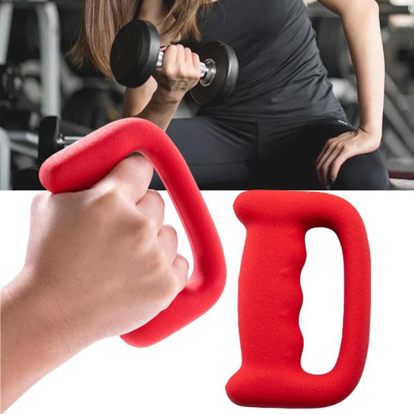 ダンベル シングルウエイト 鋳鉄 筋力トレーニング ウォーキング用 2個 1kg