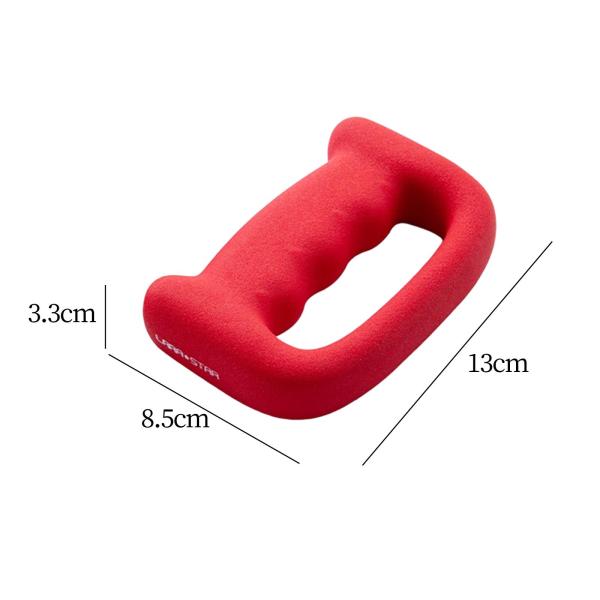 ダンベル シングルウエイト 鋳鉄 筋力トレーニング ウォーキング用 2個 1kg