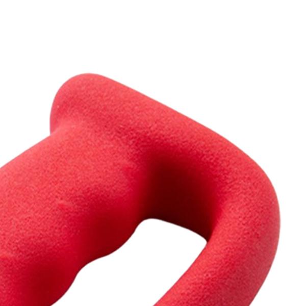 ダンベル シングルウエイト 鋳鉄 筋力トレーニング ウォーキング用 2個 1kg