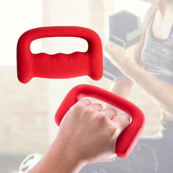 ダンベル シングルウエイト 鋳鉄 筋力トレーニング ウォーキング用 2個 1kg